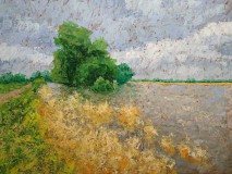 Arnold-Korste-06