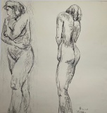 harrietvanberkel04
