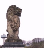 2026sylviastndbeeld12