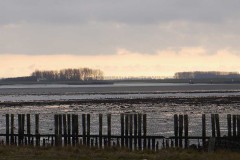 peofdec25tegenlichtjet09