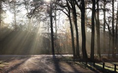 peofdec25tegenlichtmaaike10