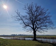 peofdec25tegenlichtmaaike13