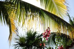 peofdec25tegenlichtmartin29-scaled