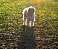 peofdec25tegenlichtmartin30-scaled