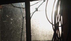 peofdec25tegenlichtsuzan37