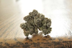 peofdec25tegenlichtsuzan38