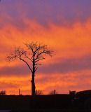 peofwolkenapr26Jet06