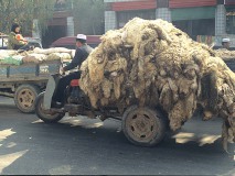 poef26janvervoerhenk30