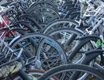 poef26janvervoermaaike09