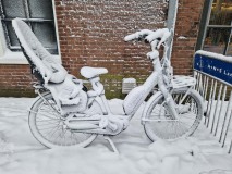 poef26janvervoermaaike11