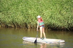 poef26janvervoersuan37