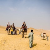 poef26janvervoerton02