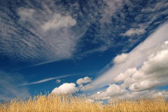 poefapr26wolkenHenk04