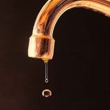 poefhenkmoment26feb21