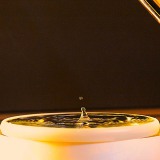 poefhenkmoment26feb23