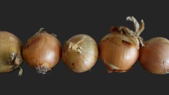 poefjan26etenMarja27