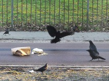 poefjetmoment26feb18