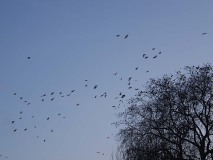 poefjetmoment26feb20