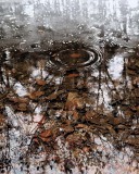 poefmaaikemoment26feb27