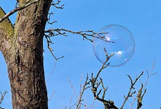 poefmaaikemoment26feb28