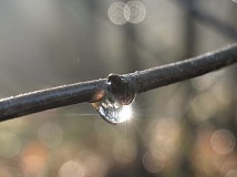 poefmaaikemoment26feb30