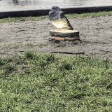 poefmarjamoment26feb16