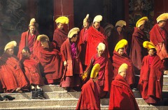 poefnov25zondagshenk06