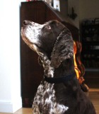 poefszanmoment26feb32